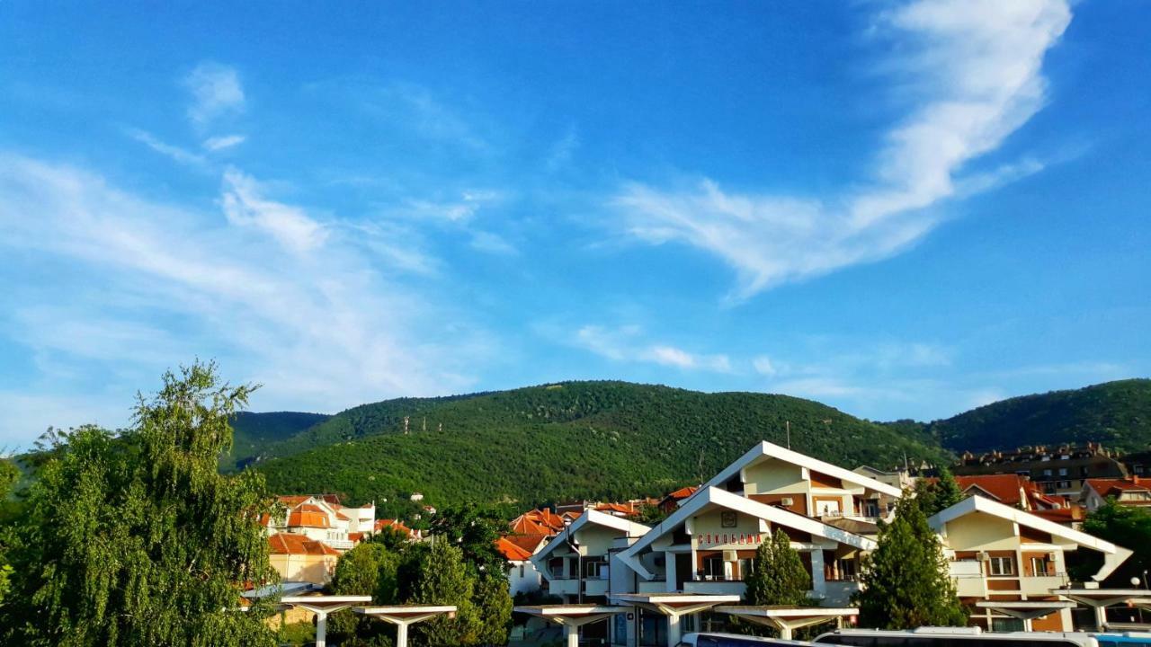 Vila Simic Soko Banja Εξωτερικό φωτογραφία